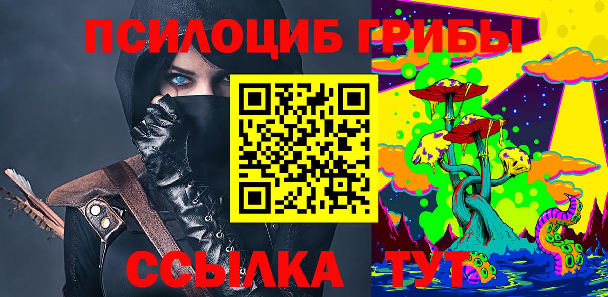 Наро-Фоминск  Псилоцибиновые грибы MAGIC MUSHROOMS  Вход с VPN 